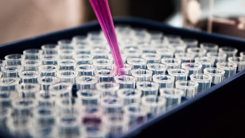 PG Diploma in Clinical Pathology laboratory diagnostics and tissue examination